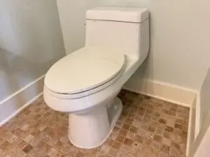 Toilet Replacement in Austin